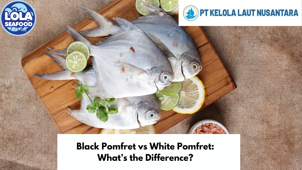 Black Pomfret vs White Pomfret: What’s the Difference?